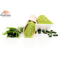 Strengthening the Immune System Wheatgrass Powder